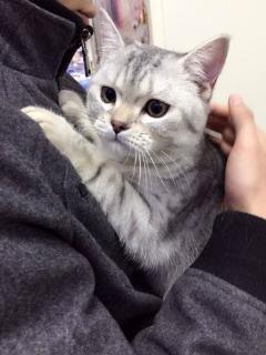 吃瓜视频大全兔子,兔子视角下的趣味世界