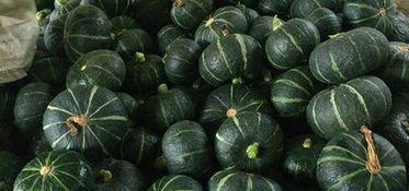 吃北瓜升血糖吗吃葡瓜