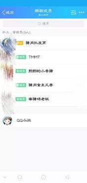 吃瓜 群聊名称大全,揭秘社交圈中的趣味与热议
