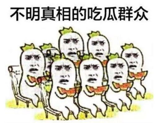 带你吃瓜体能训练,揭秘体能训练的趣味与科学
