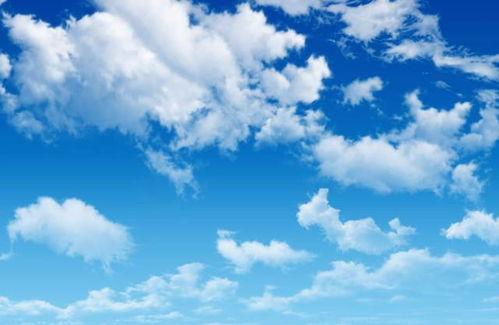 吃瓜的蓝色精灵,探寻神秘生物的奇幻之旅