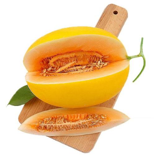 小蜜瓜咋吃,小蜜瓜的多样食用方法探索