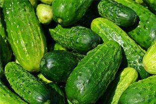 病人梦到吃瓜,揭秘病人潜意识里的渴望与疗愈