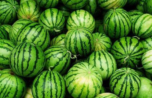 吃瓜的人就吃你的瓜,揭秘“吃瓜群众”的独特魅力