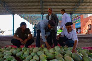 吃瓜象棋巴基斯坦,揭秘“吃瓜象棋”背后的故事