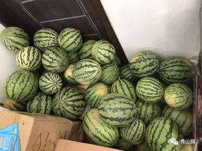 河泽吃瓜视频,揭秘娱乐圈幕后真相