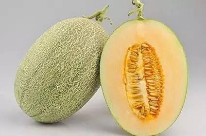 吃瓜不忘送瓜人,人生百态中的善意传递