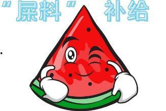 严格吃瓜现场,吃瓜群众的真实观感与幕后真相