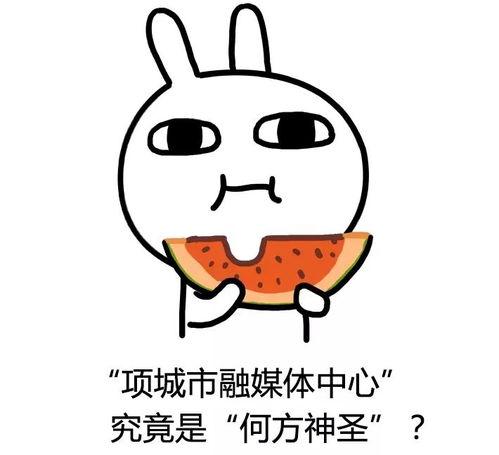 温迪吃瓜,揭秘娱乐圈背后的秘密与真相