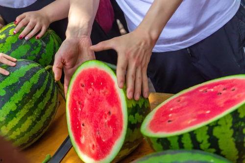 学校吃自己的瓜视频,揭秘校园吃瓜视频背后的故事