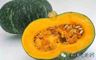 胃病吃方瓜,胃病患者的天然良方