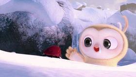 好玩的吃瓜视频大赛,好玩的吃瓜视频大赛精彩回顾