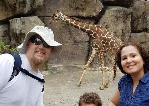 情侣路人吃瓜拍照