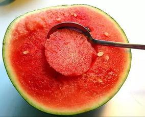 晚上吃网纹瓜吗,网纹瓜的甜蜜诱惑