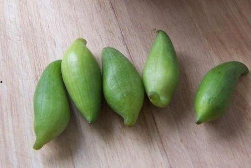 吃小雀瓜,探寻夏日清新口感新宠