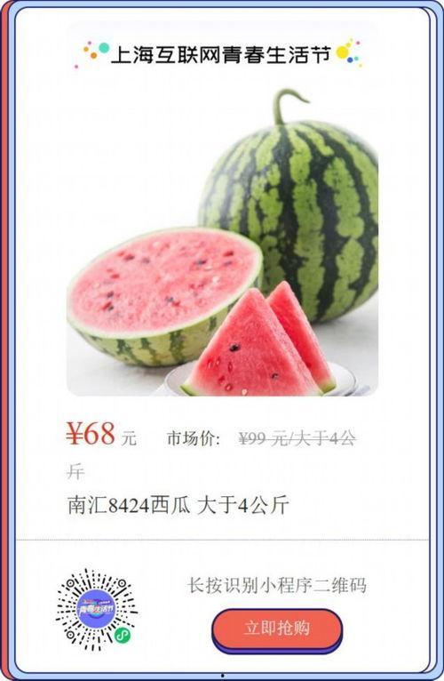 24吃瓜在线观看,在线观看，畅享娱乐狂欢