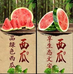 文安吃瓜现场,揭秘网络热议背后的真相