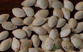 角瓜可以吃籽吗,可食用还是弃之如敝屣？