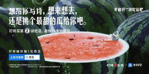 吃瓜酿的文案句子,揭秘娱乐圈的甜蜜与苦涩