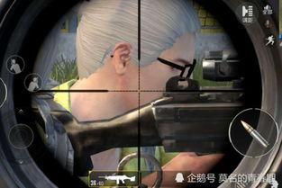 燕双鹰带你吃瓜