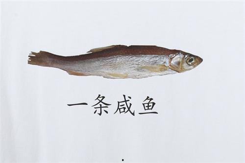 清穿咸鱼吃瓜,宫廷吃瓜日常