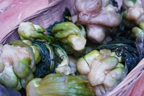 重庆巫山吃瓜视频