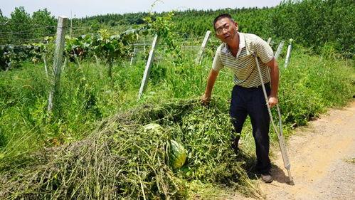 赤壁吃瓜群众,吃瓜群众视角下的历史大戏