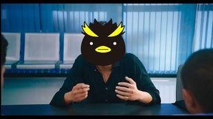 企鹅吃瓜,揭秘企鹅的独特“吃瓜”生活